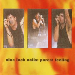 Nine Inch Nails : Purest Feeling